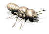 http://www.bedrijfshygiene.nl/ani-termite1_lg_wht.gif